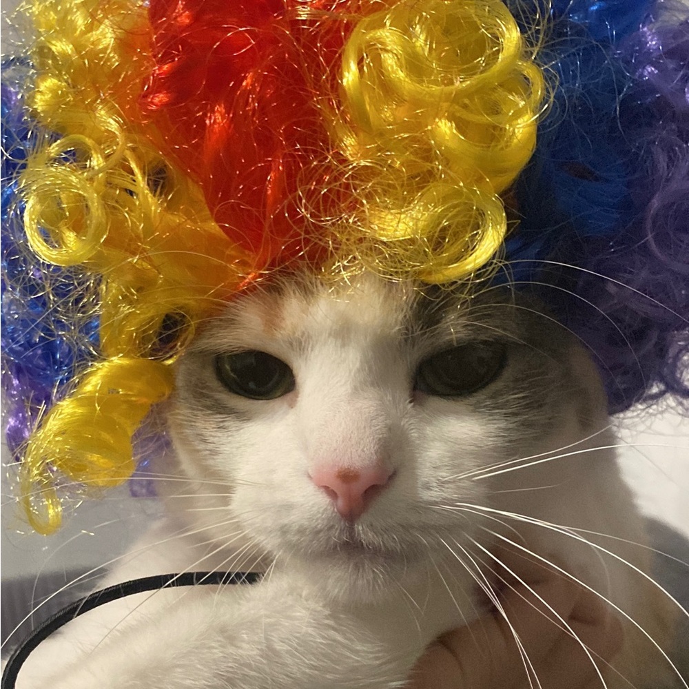 Meet your Posher, Valerie